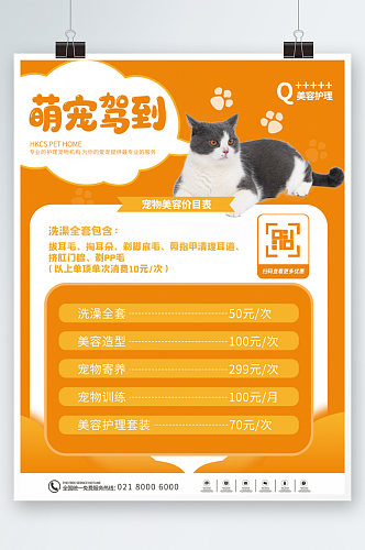 宠物店宠物医院价格表海报橙色活动促销