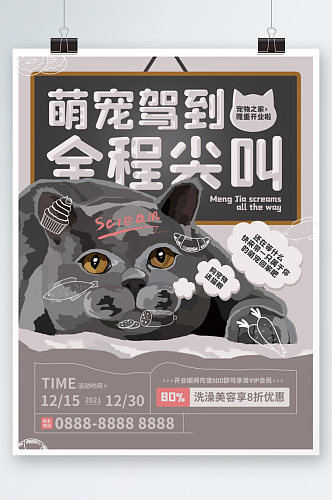 萌宠商业海报猫宣传单页咖啡色宠物创意