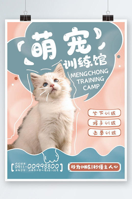 宠物训练行为纠正海报粉色蓝色猫咪清新
