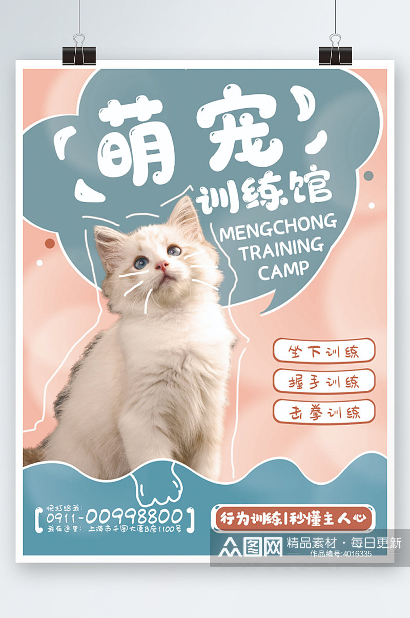宠物训练行为纠正海报粉色蓝色猫咪清新素材