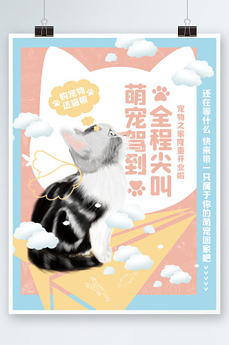 萌宠海报猫宣传单页红蓝小清新宠物创意