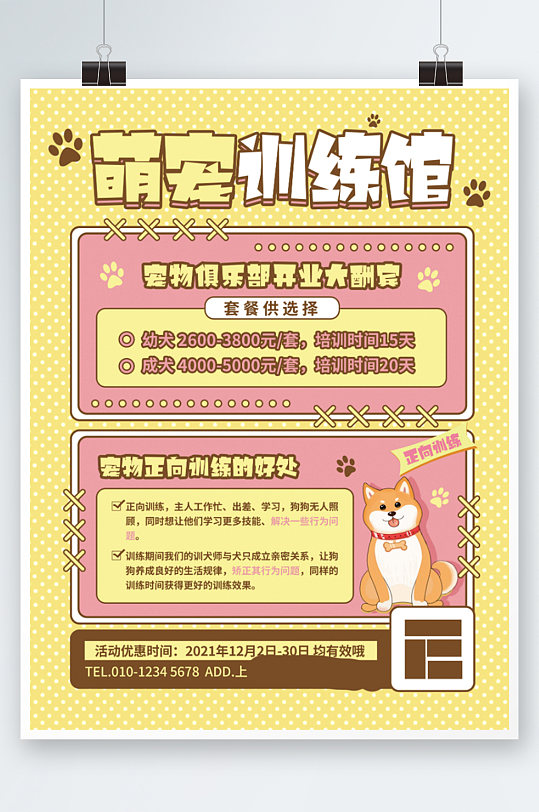 宠物训练行为纠正训练馆开业宣传海报促销