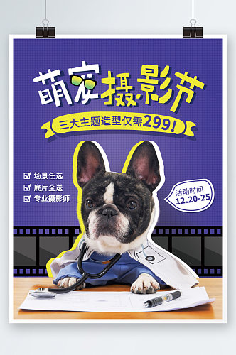 宠物摄影活动宣传海报萌宠狗狗艺术照