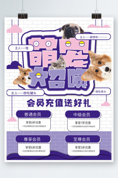 宠物用品开业会员充值促销海报紫色卡通