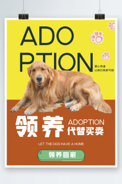 狗狗宠物简约海报可爱公益领养宣传