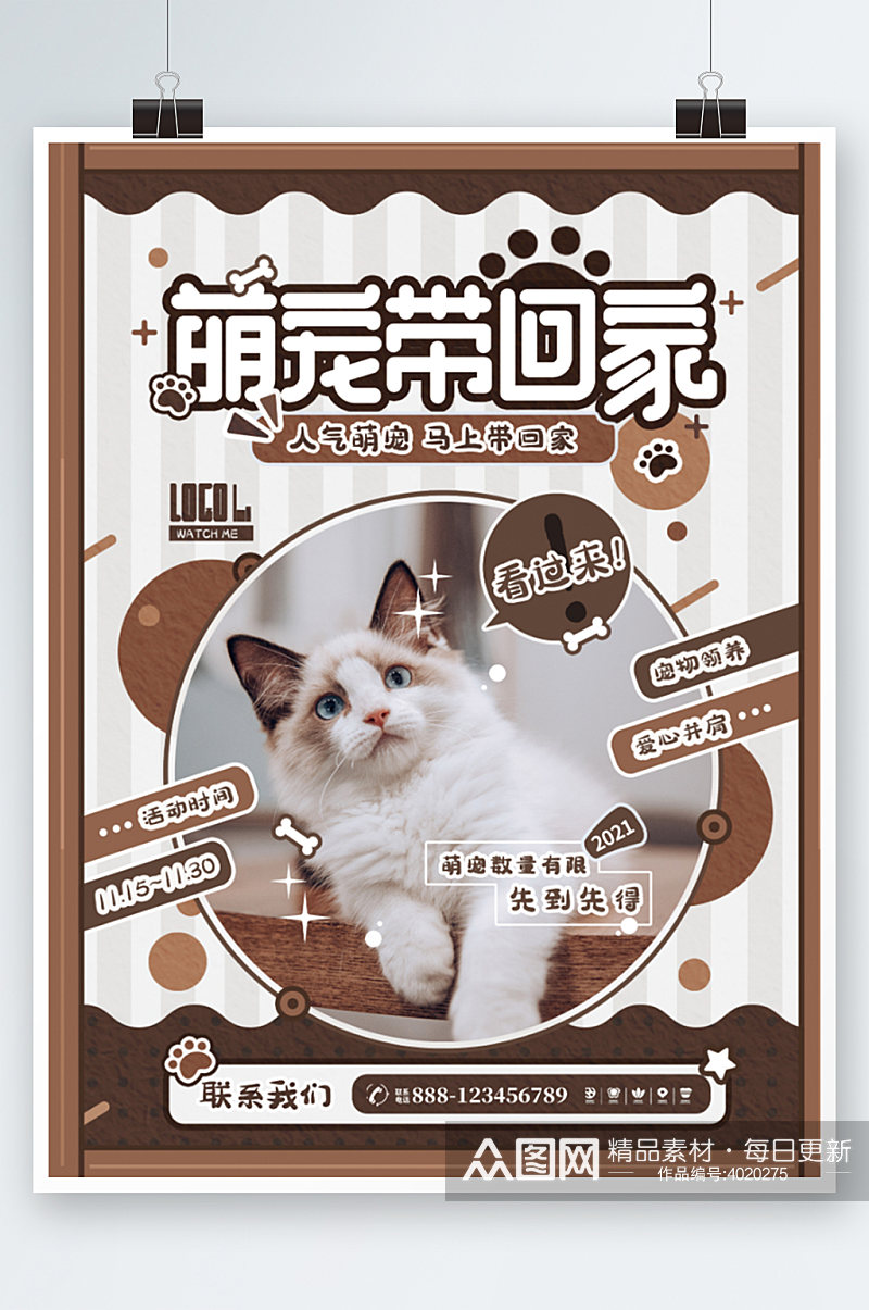 萌宠带回家布偶猫摄影创意卡通海报可爱素材