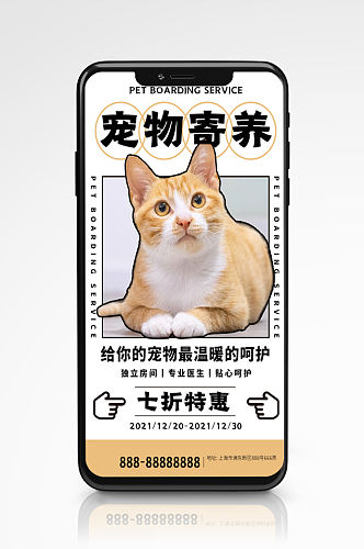 宠物寄养简约文艺手机海报宠物店促销