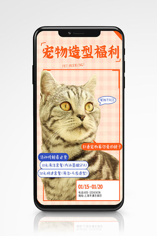 宠物造型优惠活动手机海报萌宠宠物店促销