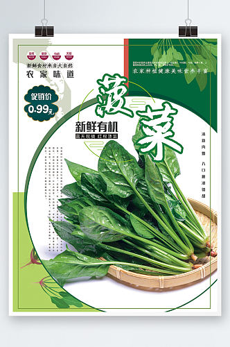 有机菠菜促销海报蔬菜商超折扣绿色