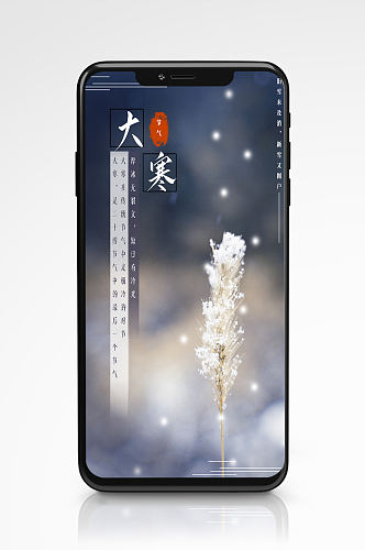 中国风大寒冬季海报冬天摄影图简约节气