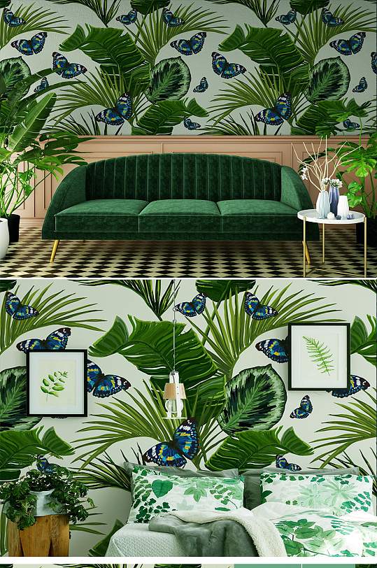 热带植物芭蕉叶墙纸-众图网