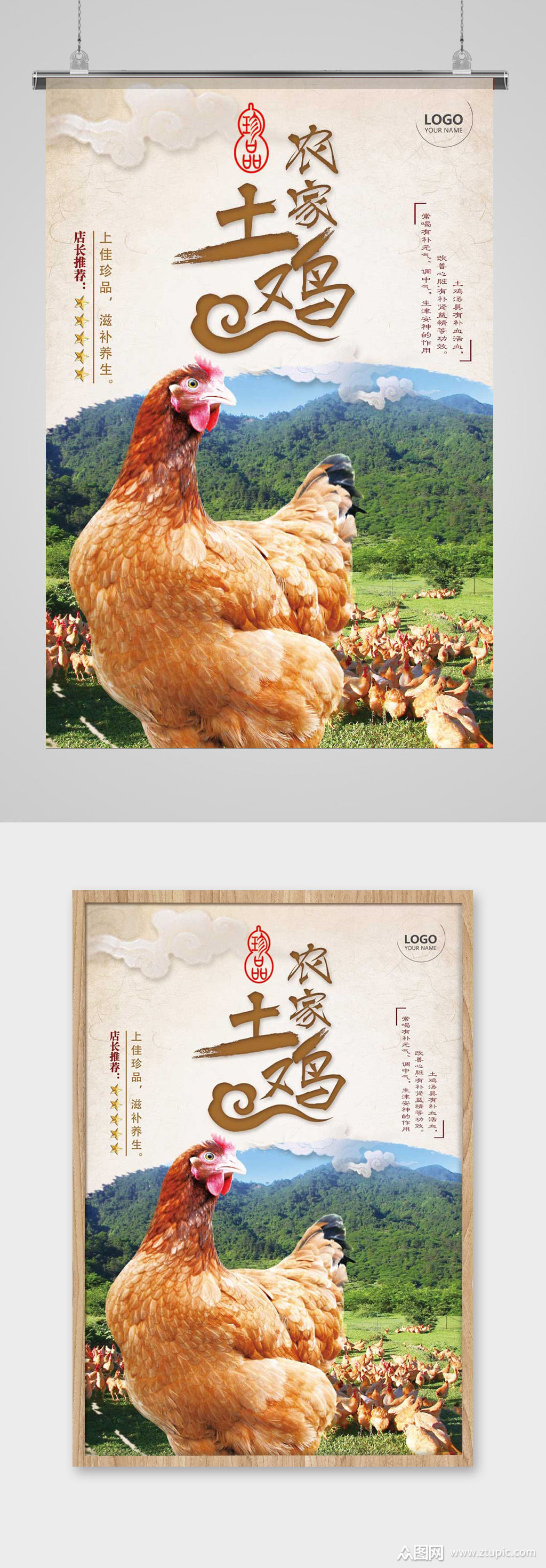 散养农家土鸡海报