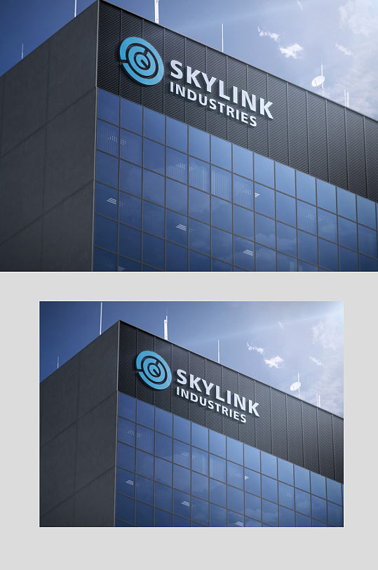 办公大楼logo样机