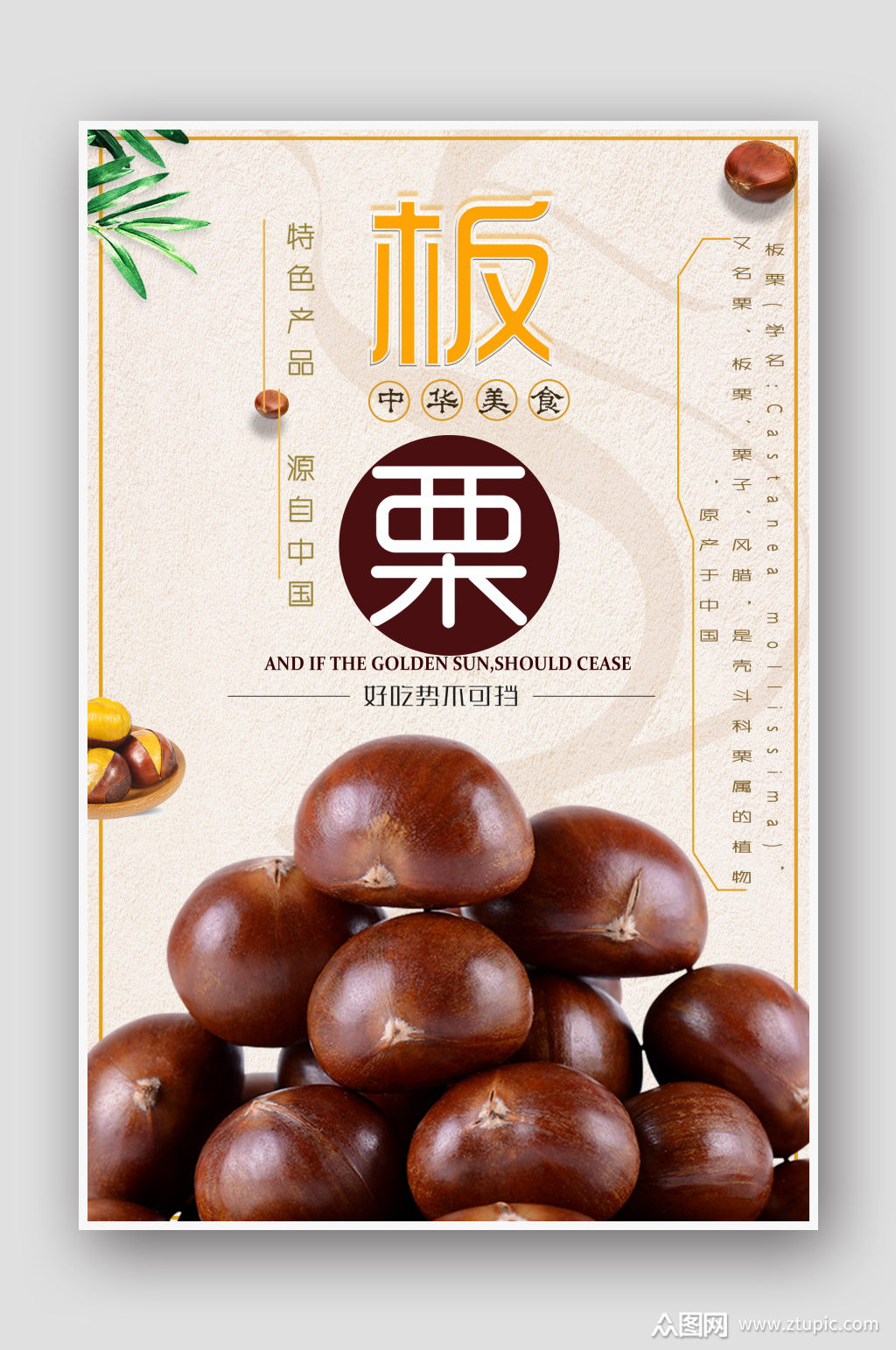 土特产之板栗海报模版素材