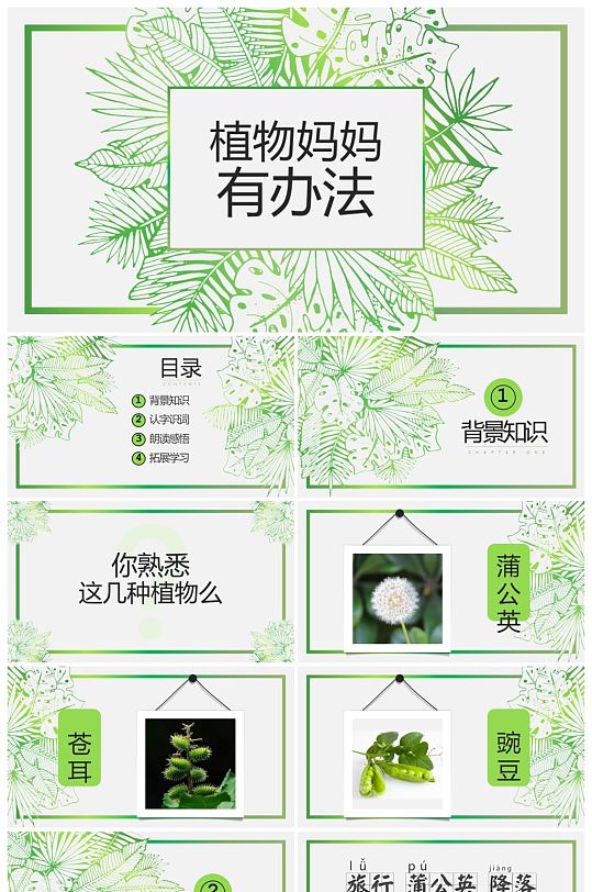 植物妈妈有办法PPT课件模板