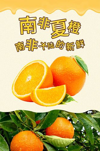 电商淘宝简约风橙子脐橙食品详情页
