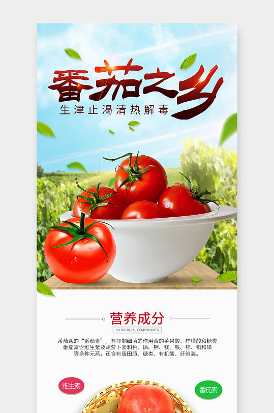 简约清新果蔬西红柿番茄绿叶电商详情页