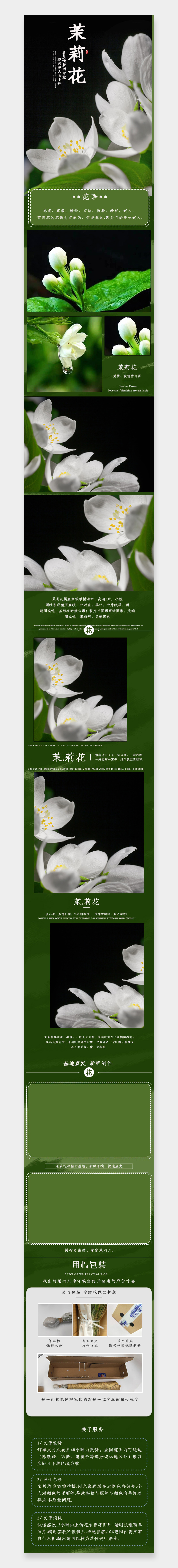 清新中国风茉莉花鲜切花绿色详情页素材
