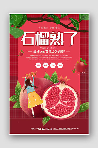 美食水果软籽石榴海报设计