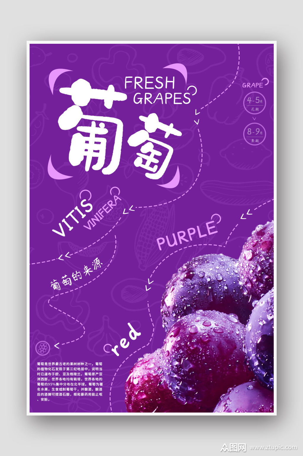 简约水果上新促销葡萄海报