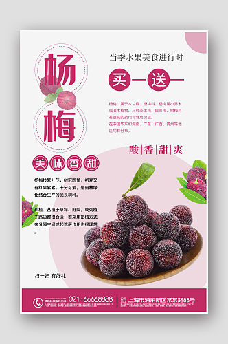 水果店杨梅促销海报