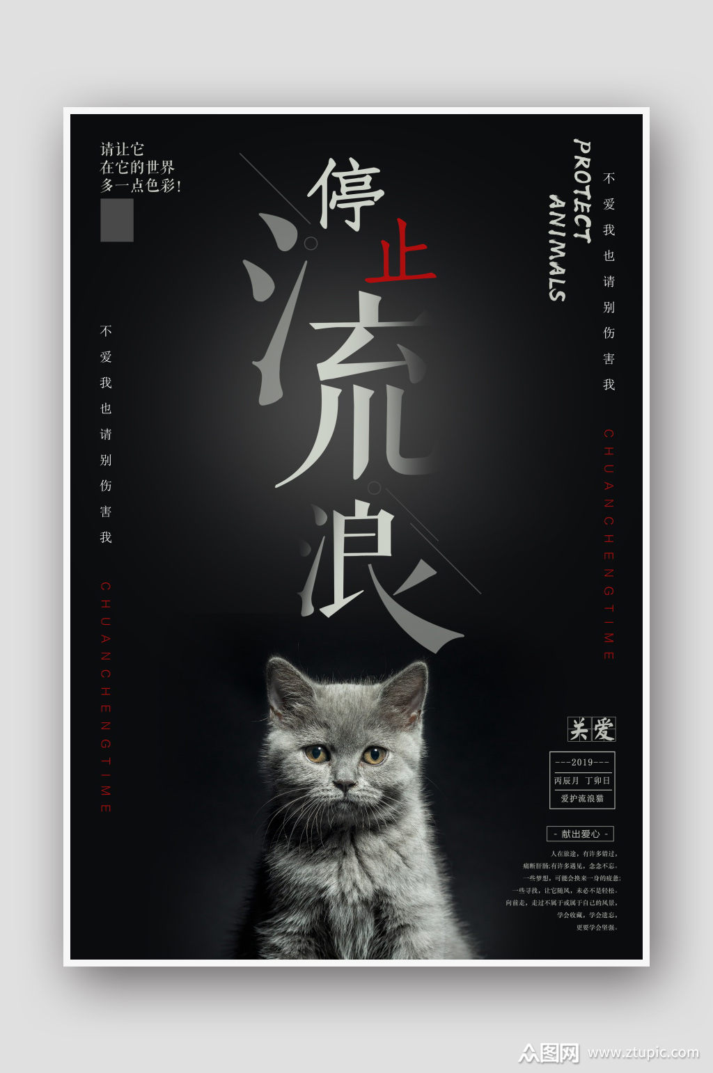 停止流浪流浪猫海报素材