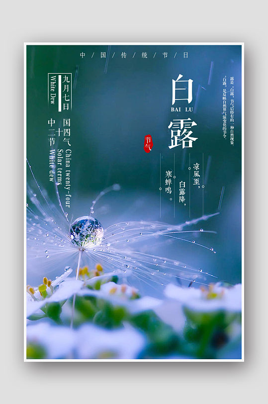 摄影图24节气白露海报