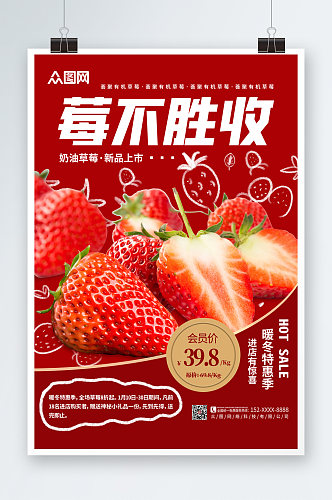 简约红色草莓采摘宣传海报