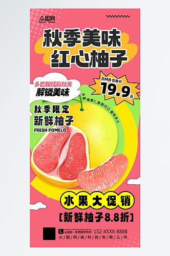 大气插画风柚子水果海报