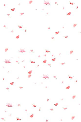 粉色花瓣透明免扣素材