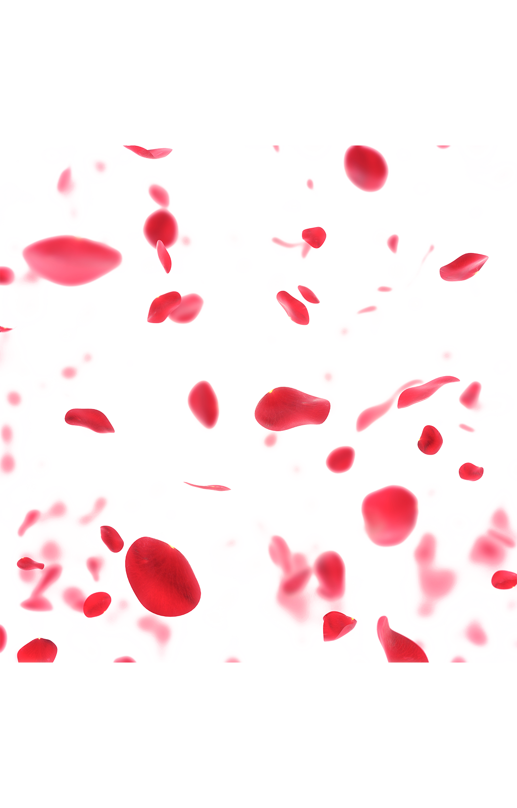 红色玫瑰花瓣素材素材