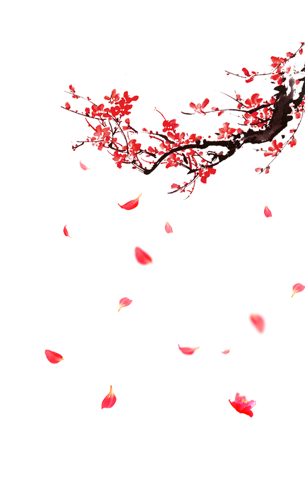 梅花枝梅花花瓣素材素材