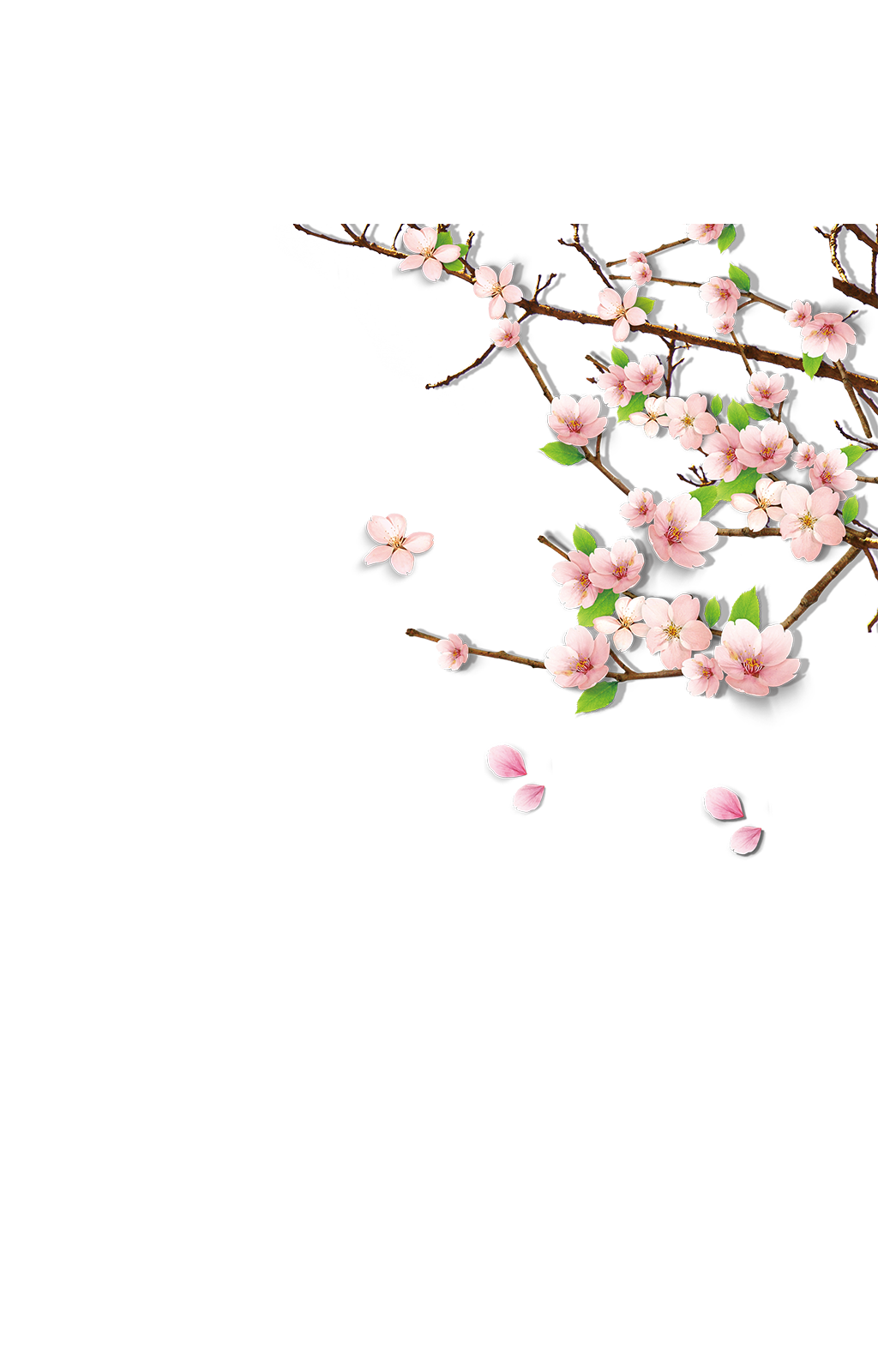 粉色花朵花枝素材素材