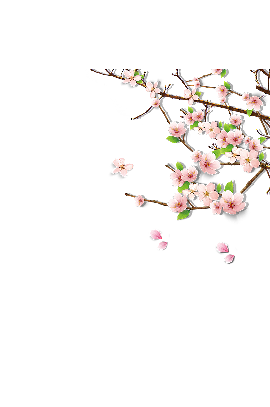 粉色花朵花枝素材