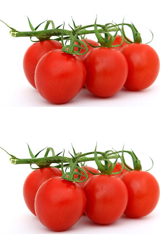 水果西红柿免扣素材