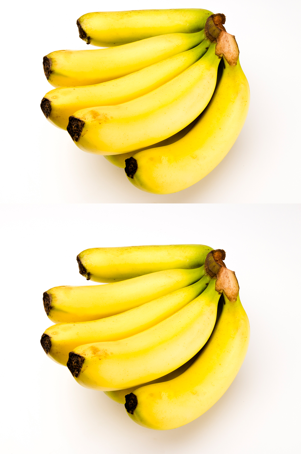 香蕉果实解剖图图片