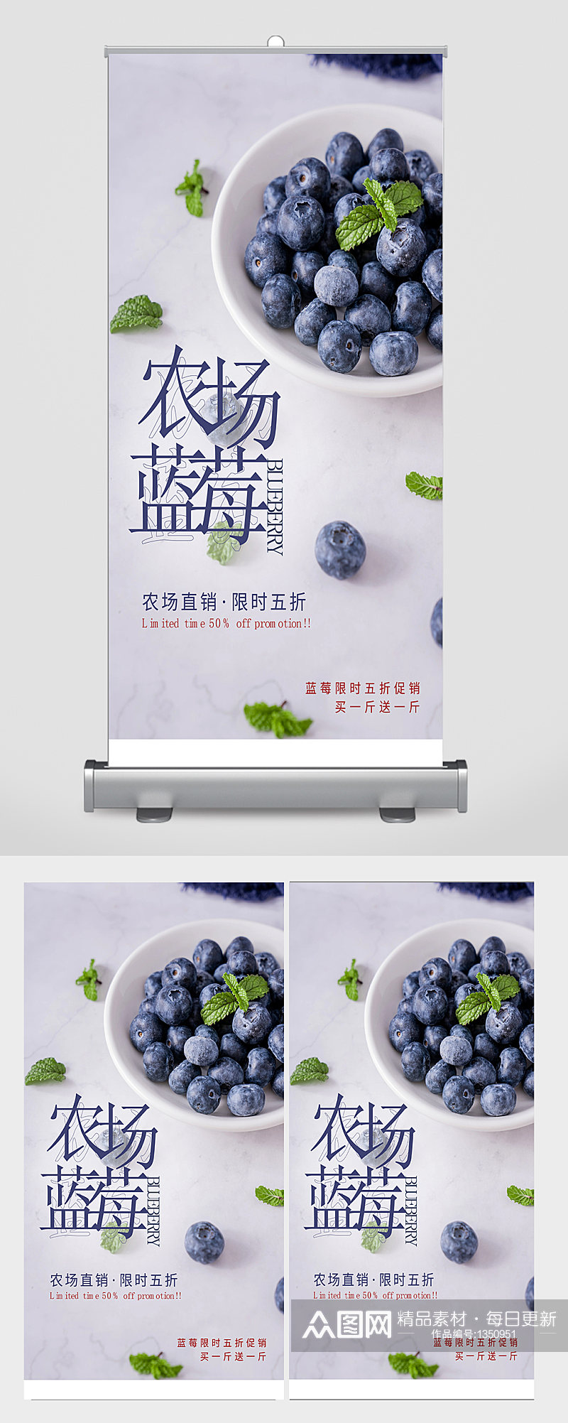 农场蓝莓宣传海报展架易拉宝素材