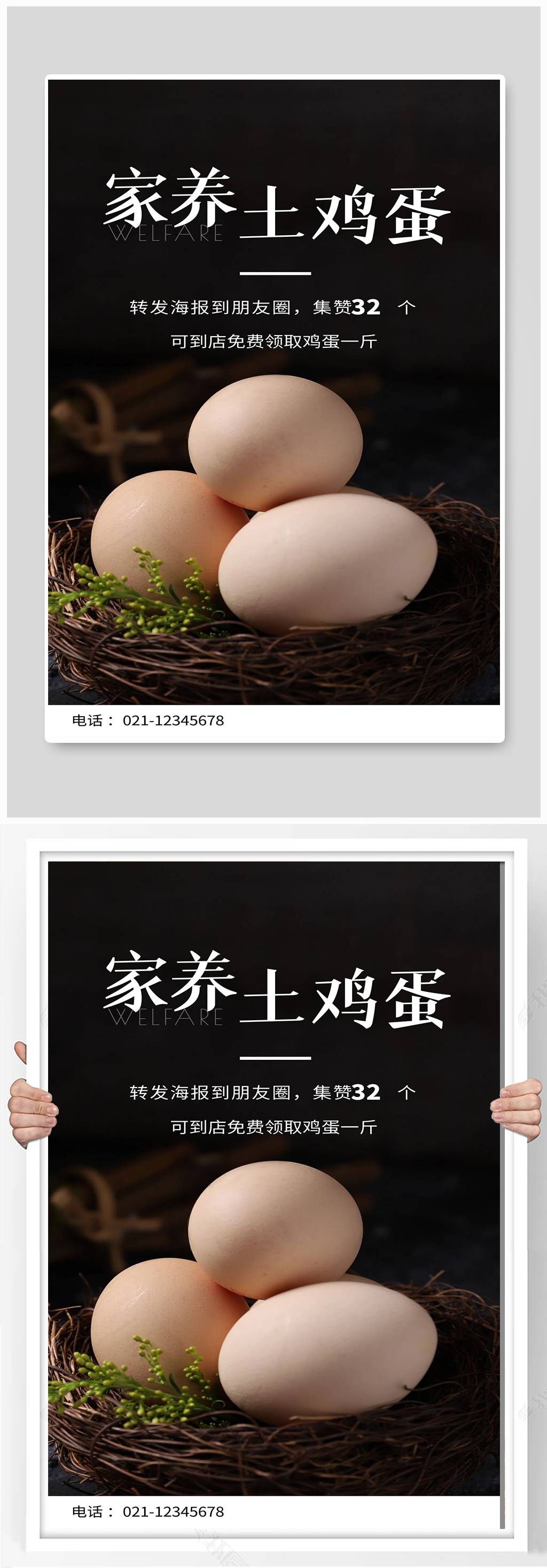 土鸡蛋宣传海报设计