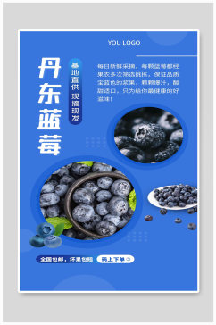 水果丹东蓝莓宣传海报制作