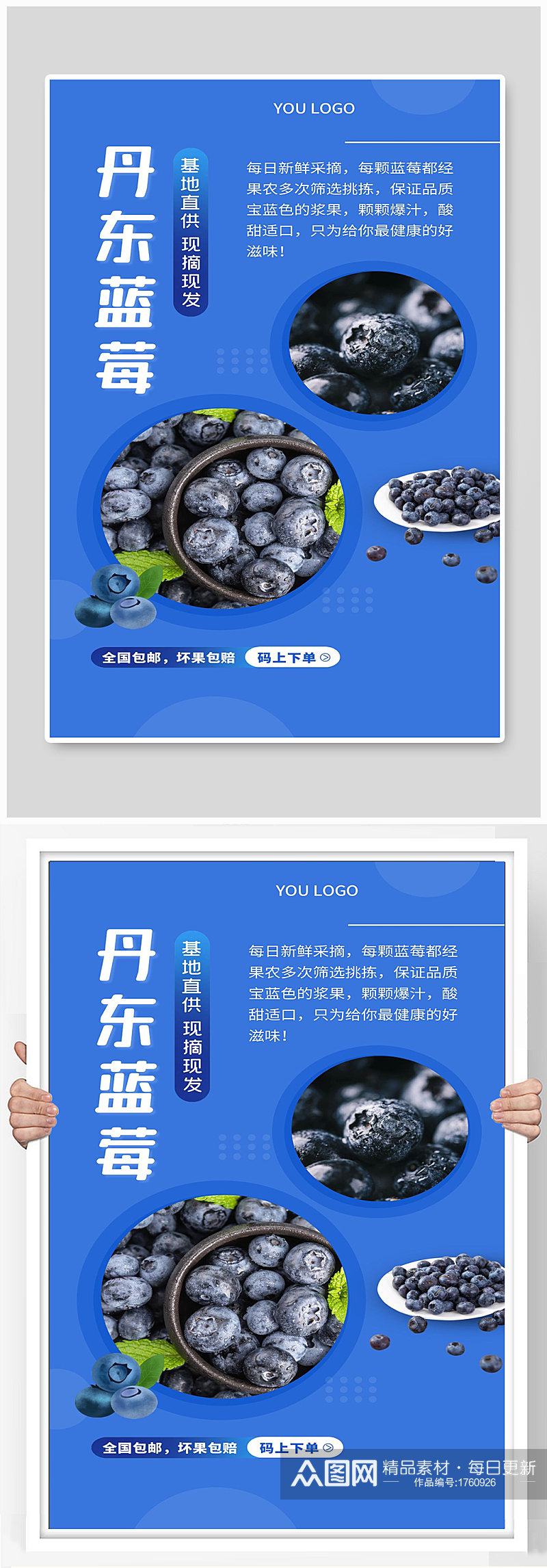水果丹东蓝莓宣传海报制作素材
