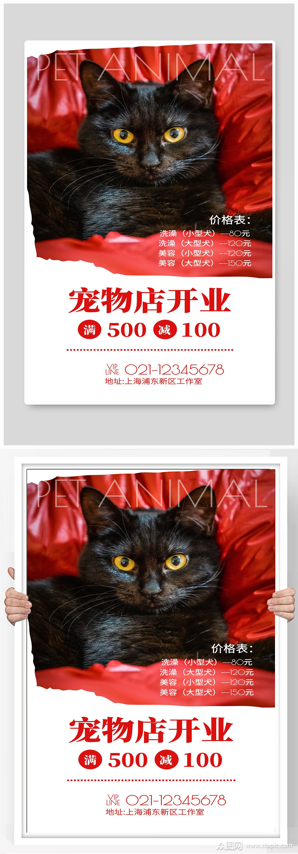 宠物店开业宣传海报设计
