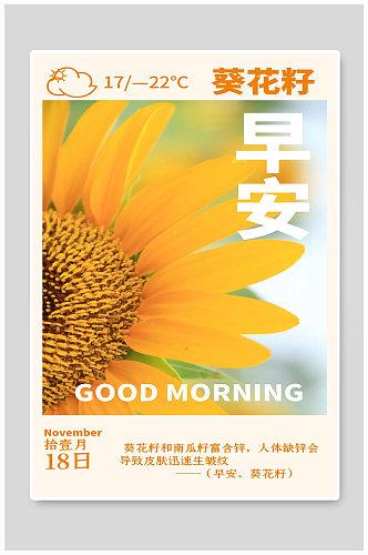 葵花籽宣传海报设计