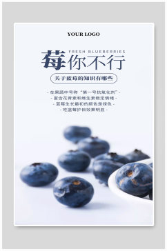 关于蓝莓的知识有哪些水果宣传海报