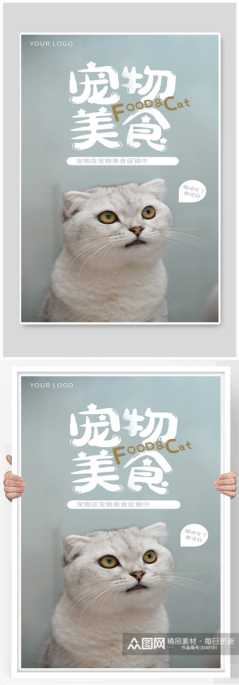 宠物店宠物美食促销中猫波斯猫素材