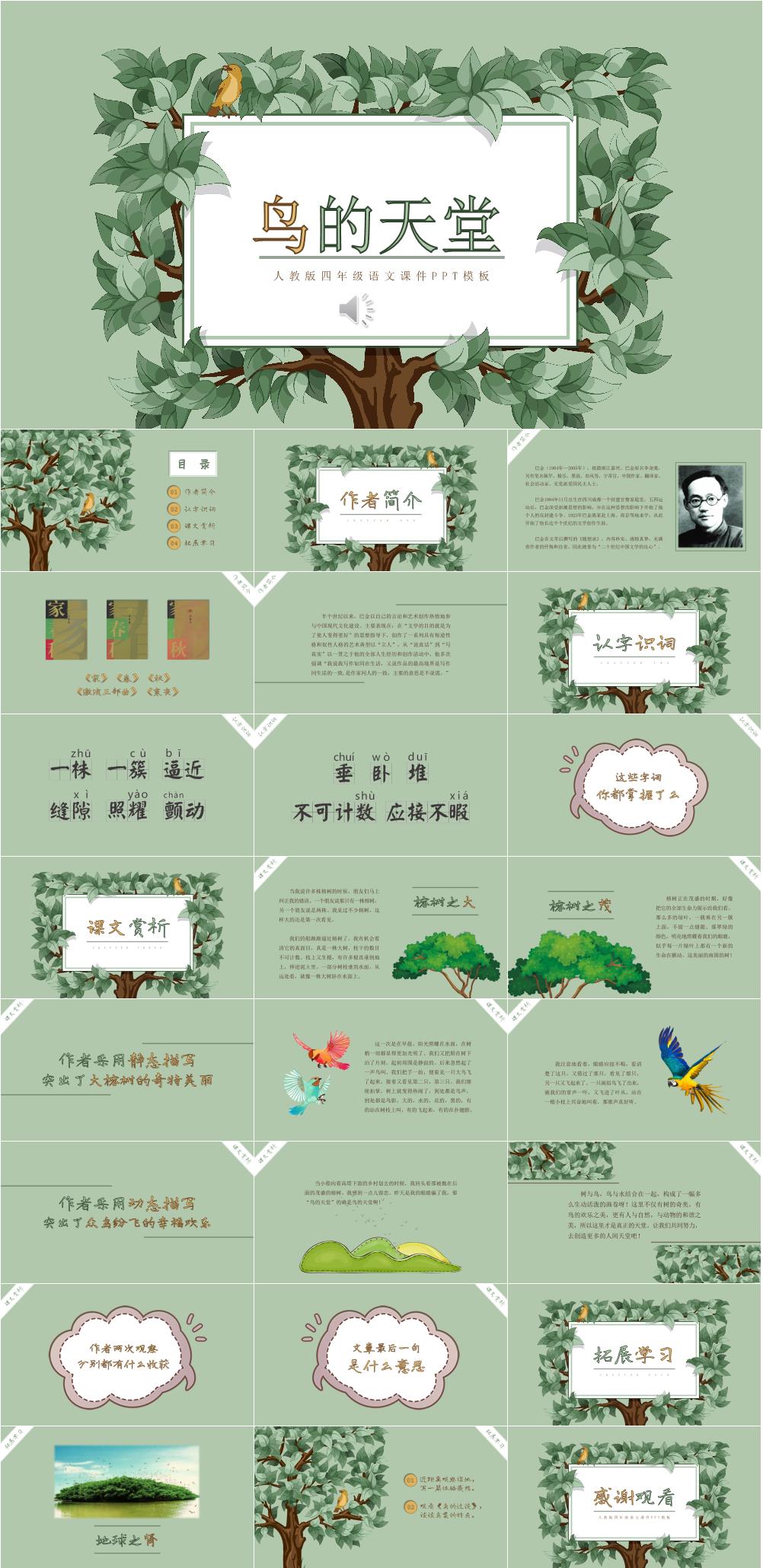 鸟的天堂课文赏析课件PPT素材