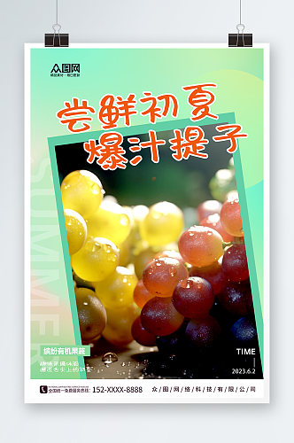 绿色葡萄提子果园采摘活动海报