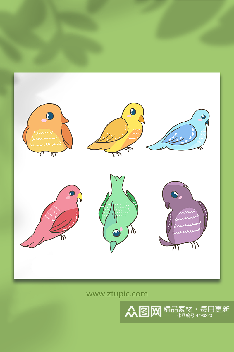 彩色春季小鸟鸟类元素插画素材