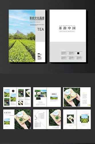 创意茶文化茶园采茶项目茶叶宣传画册