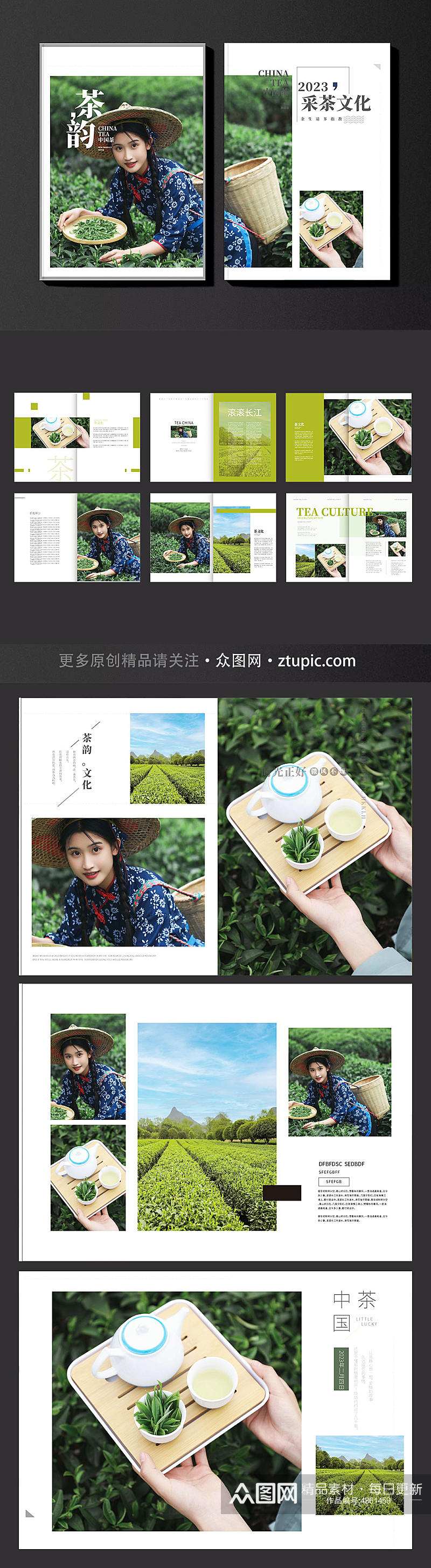 创意茶叶茶文化茶园采茶项目宣传画册素材