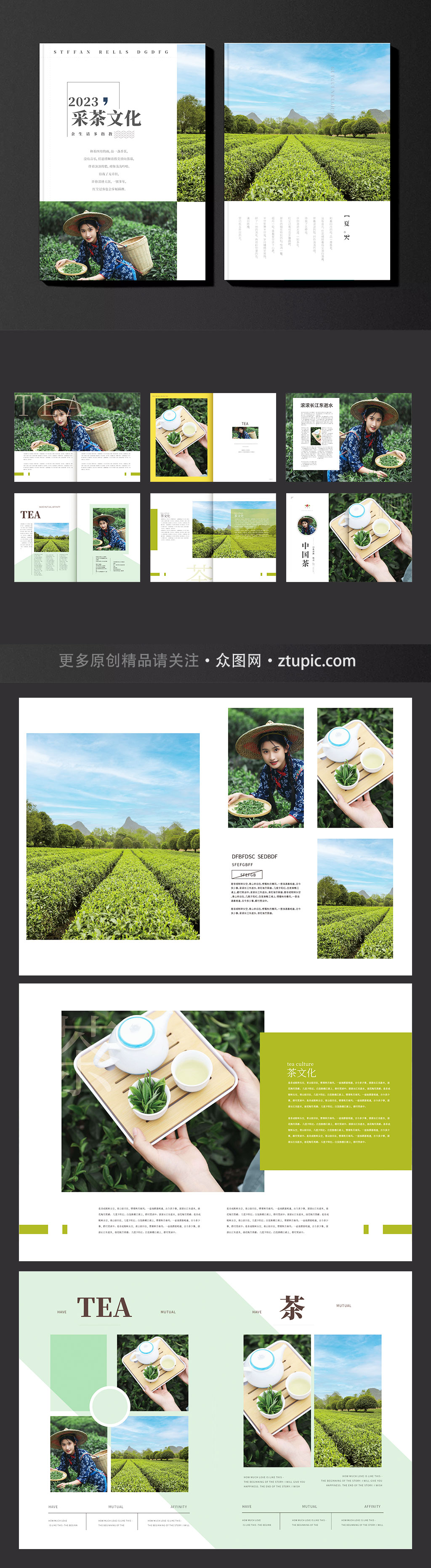 简约茶园采茶项目茶文化宣传画册素材